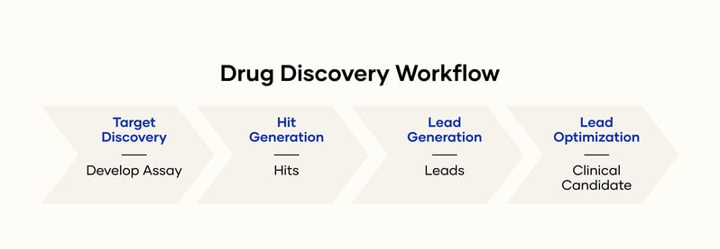 Drug Discovery Workflow