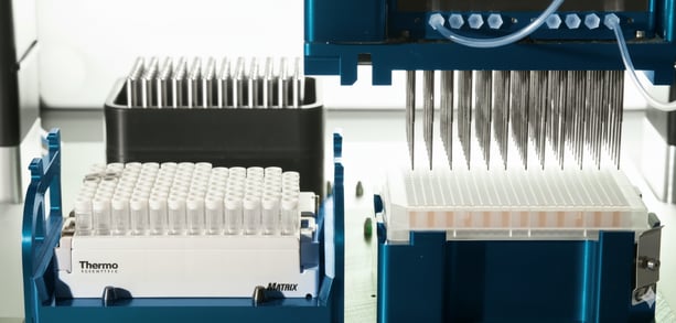 Gemini_Generated_Image_17hpzj17hpzj17hp