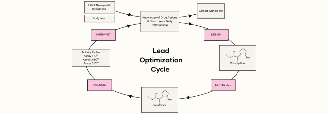 Lead Optimization Cycle